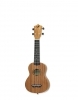 Aria LAM-1S Aria LAM-1S